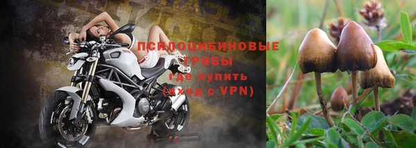 дмт Армянск