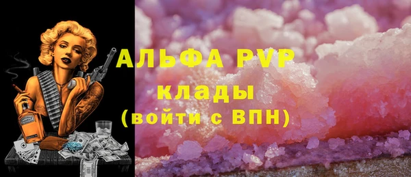 стаф Баксан