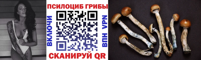 Псилоцибиновые грибы прущие грибы Пыталово